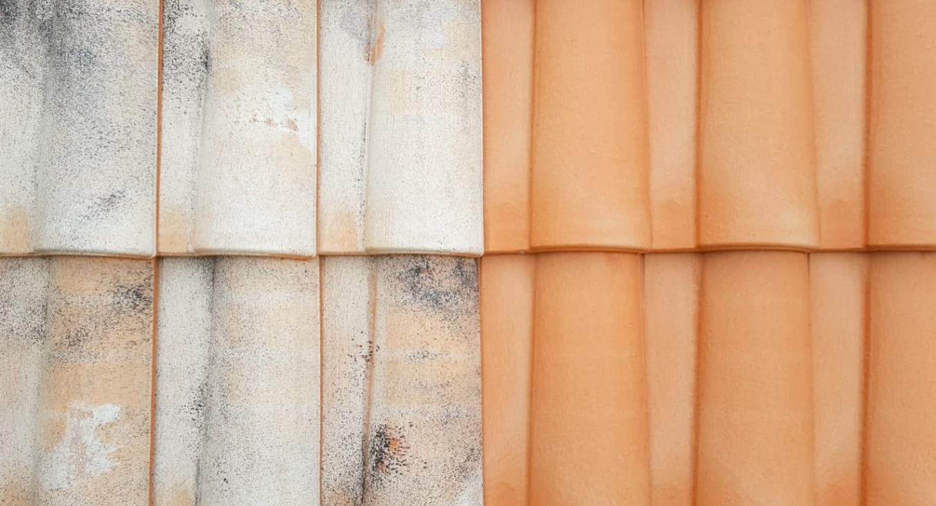 Nettoyage de toiture, Peinture & Hydrofugation de toit 95 Oise